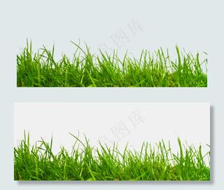 绿色植物小草,免抠元素