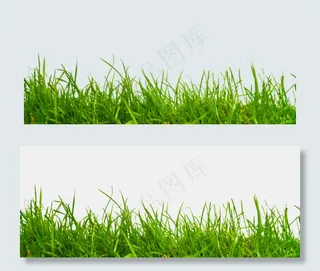 绿色植物小草,免抠元素