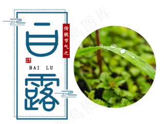 白露节气,免抠元素