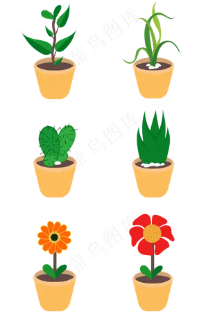 植物盆栽花免抠图