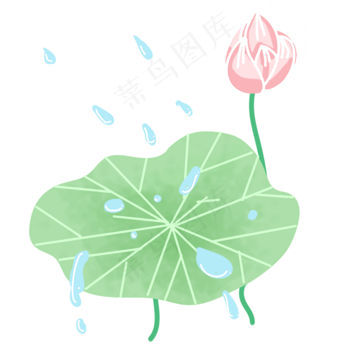 下雨荷叶荷花(2000X2000(DPI:300))psd模版下载