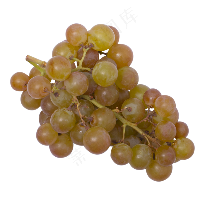 彩色葡萄水果实拍