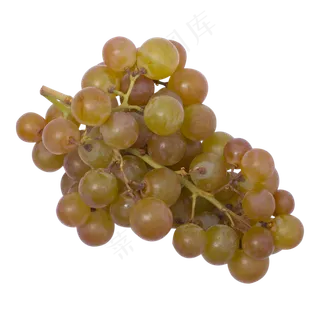 彩色葡萄水果实拍 彩色葡萄水果实拍