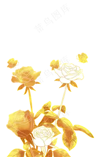 金色玫瑰