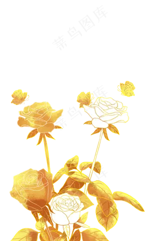 金色玫瑰