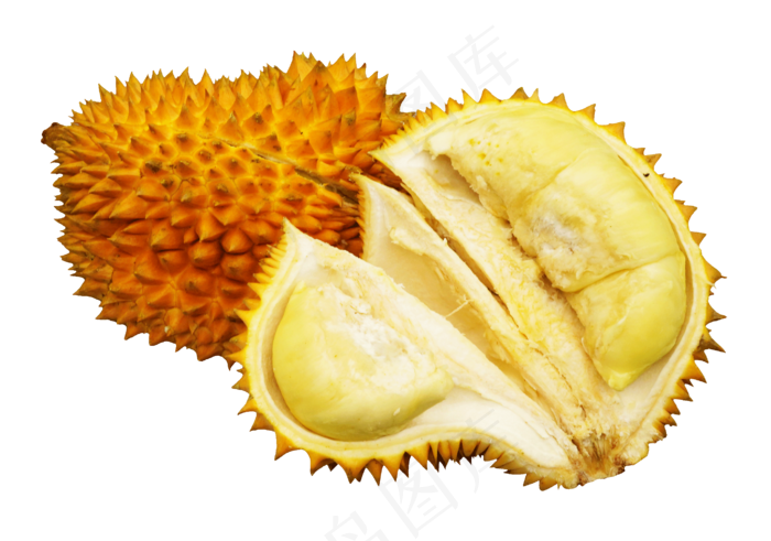 黄色的榴莲