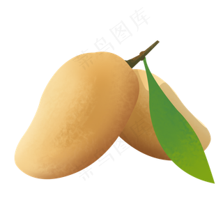 橙黄色手绘写实食用芒果水果ps