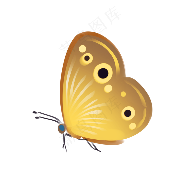 春天黄色昆虫蝴蝶(2000X2000(DPI:300))psd模版下载