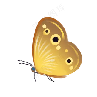 春天黄色昆虫蝴蝶