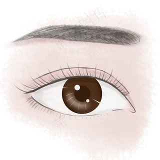 纹眉纹绣医美整形