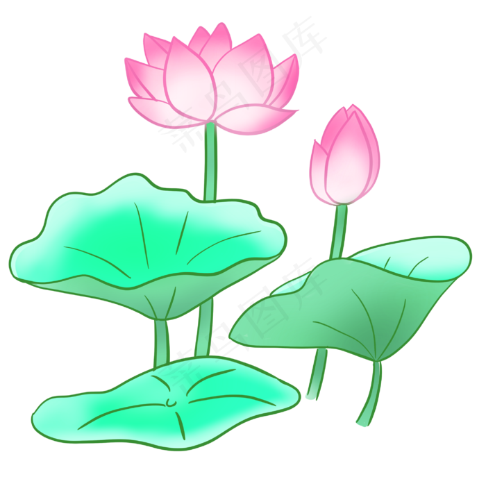 盛开粉色荷花荷叶(3000X3000(DPI:300))psd模版下载