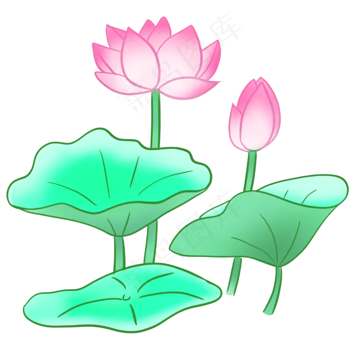 盛开粉色荷花荷叶(3000X3000(DPI:300))psd模版下载