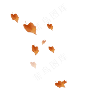 落叶,免抠元素