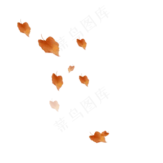 落叶,免抠元素