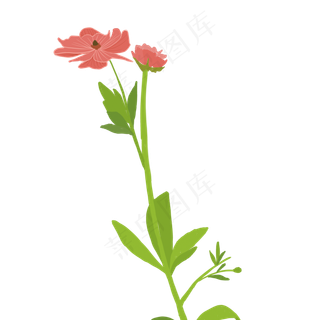 春天红色鲜花下载