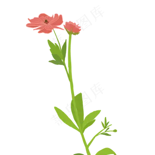 春天红色鲜花下载