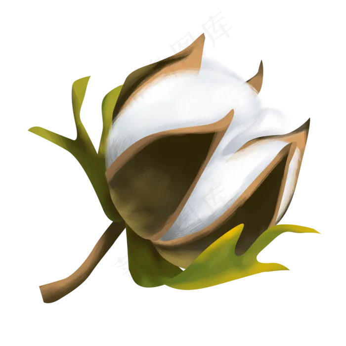 白色农作物棉花(2000X2000(DPI:300))psd模版下载