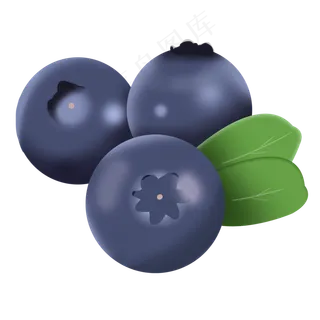 新鲜多汁蓝色蓝莓