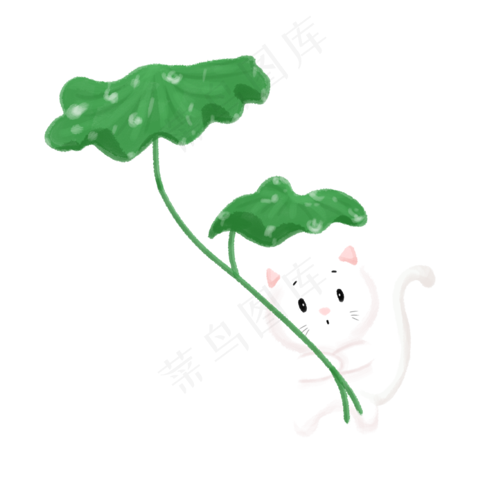 下雨荷叶白色猫咪,免抠元素(2000X2000(DPI:300))psd模版下载