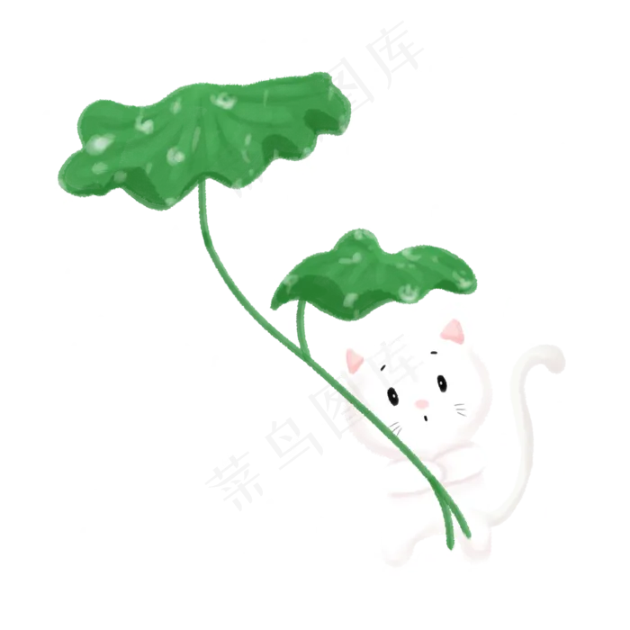 下雨荷叶白色猫咪,免抠元素(2000X2000(DPI:300))psd模版下载