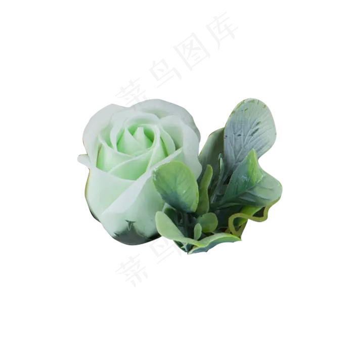 好看的情人节玫瑰花花朵素材(2000X2000(DPI:300))psd模版下载