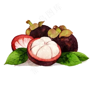 山竹鲜果美味夏日甜蜜PNG热带