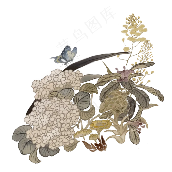 中国画水墨工笔温婉蝴蝶百花花鸟,免抠元素