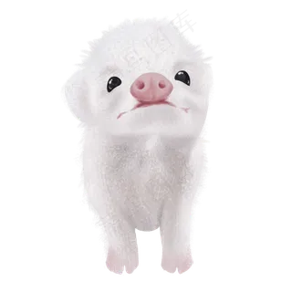 可爱小猪粉猪佩奇,免抠元素