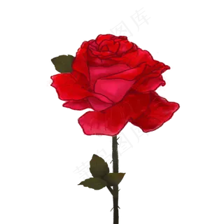 手绘红色玫瑰花元素