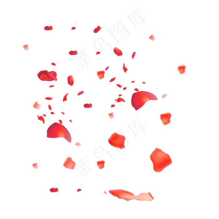 飞舞的红色玫瑰花瓣(2000X2000(DPI:299))psd模版下载
