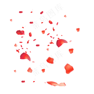 飞舞的红色玫瑰花瓣