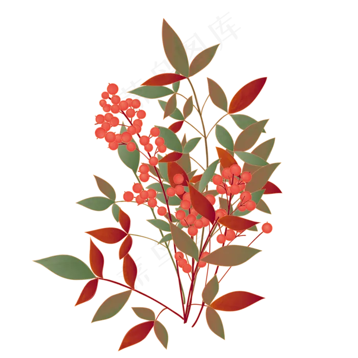 手绘小清新山茶花山茶籽卡通手绘(2000X2000(DPI:300))psd模版下载