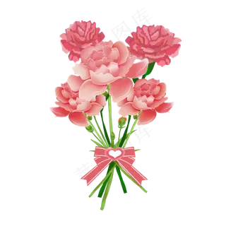 母亲节康乃馨 母亲节康乃馨