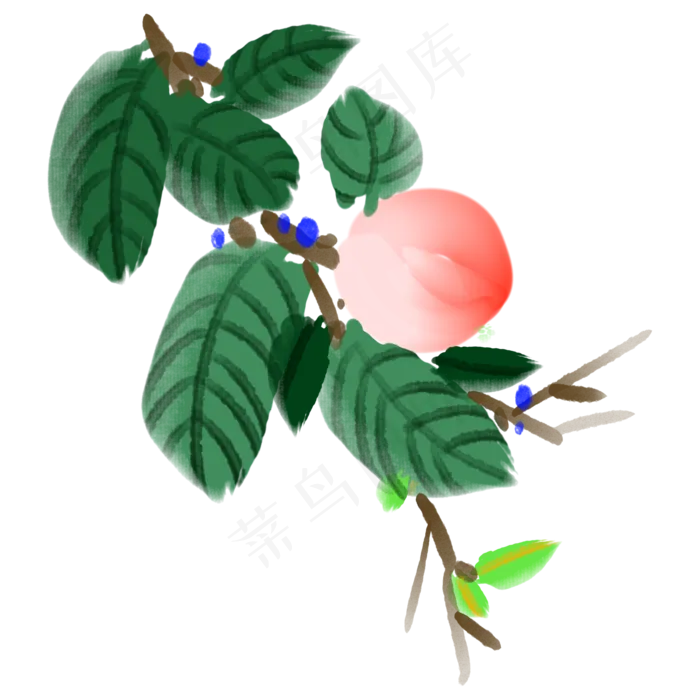 一个新鲜水果桃子(2000X2000(DPI:300))psd模版下载