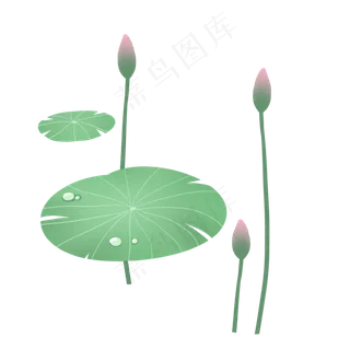 夏天绿色荷叶免抠图
