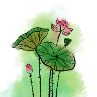 粉色水墨荷花荷叶