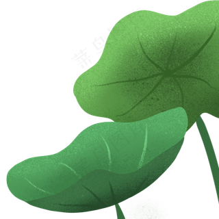 卡通的绿色叶子植物