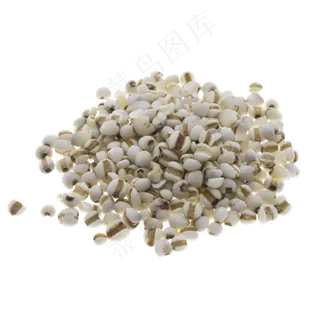 一堆散落薏米,免抠元素