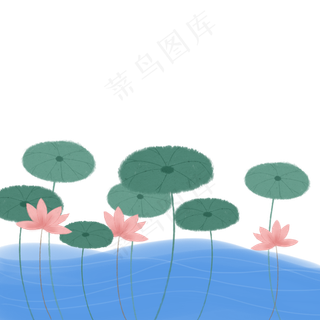 夏季荷花荷叶