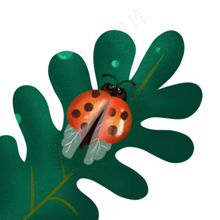 在叶子上休息的虫子(2000X2000(DPI:300))psd模版下载