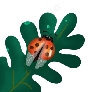 在叶子上休息的虫子