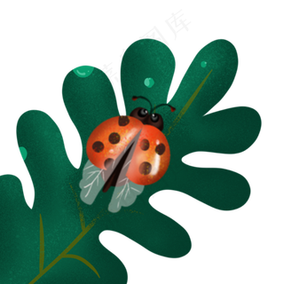 在叶子上休息的虫子