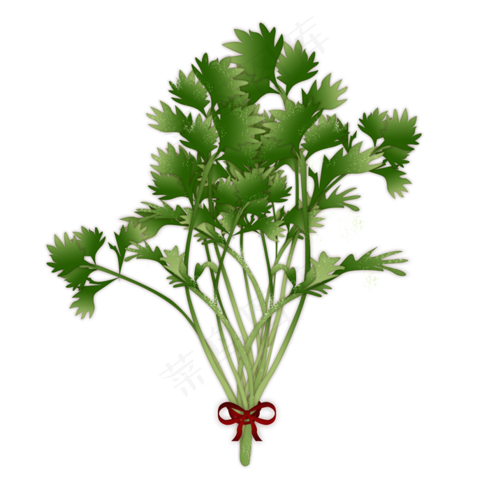 艾草绿色端午节(2000X2000(DPI:300))psd模版下载