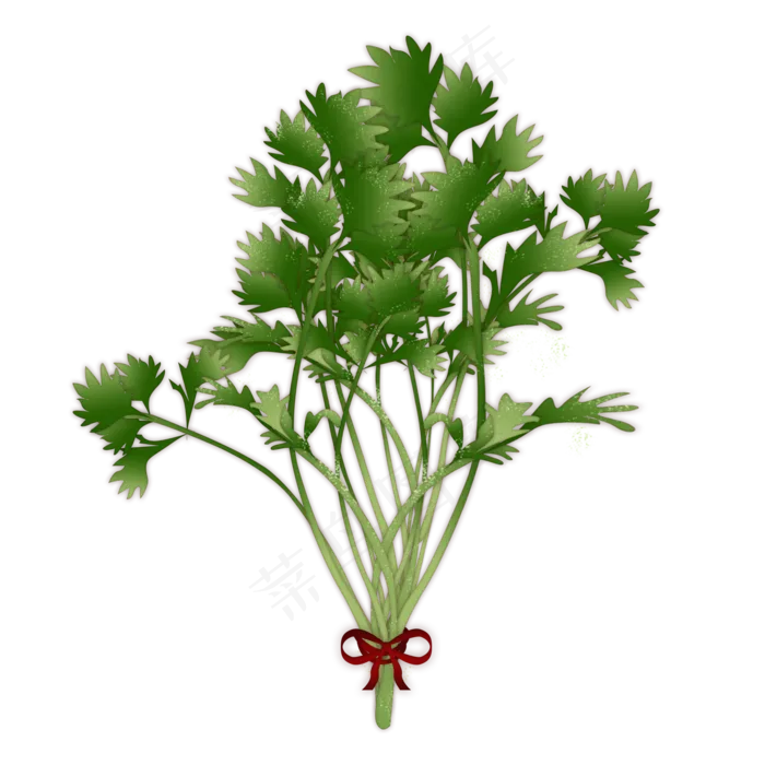 艾草绿色端午节(2000X2000(DPI:300))psd模版下载