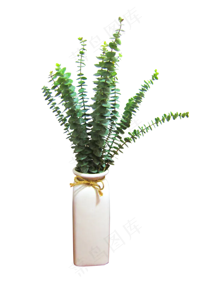 北欧风绿植植物,免抠元素(2000X2000(DPI:300))psd模版下载