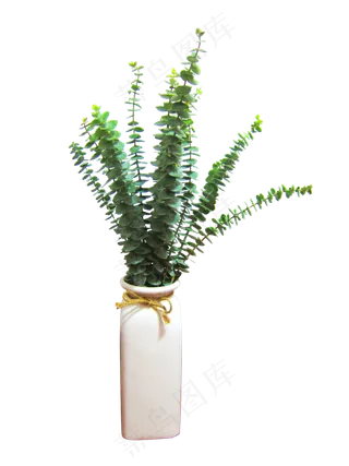 北欧风绿植植物,免抠元素