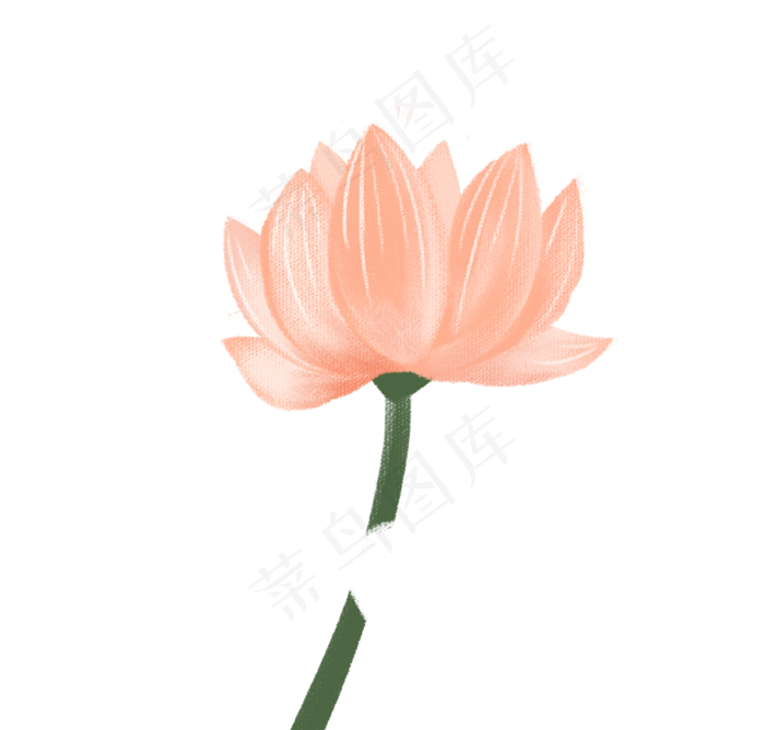 夏天美丽的荷花(1735X1655(DPI:300))psd模版下载