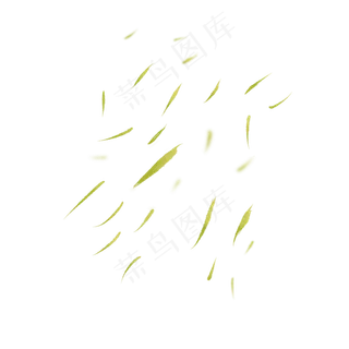 清明节漂浮柳树绿色柳叶