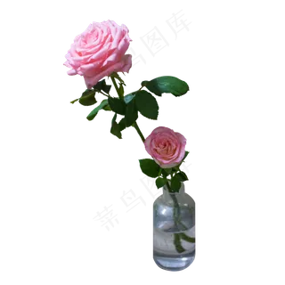花瓶里的粉色玫瑰花