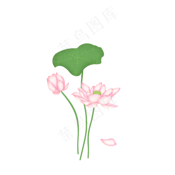 夏季节气荷花荷叶(2000X2000(DPI:300))psd模版下载